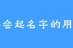 不会起名字的用户