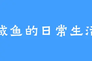 咸鱼的日常生活
