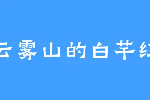 云雾山的白芊红