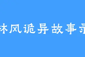 林风诡异故事录