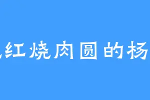 爱吃红烧肉圆的杨兄弟